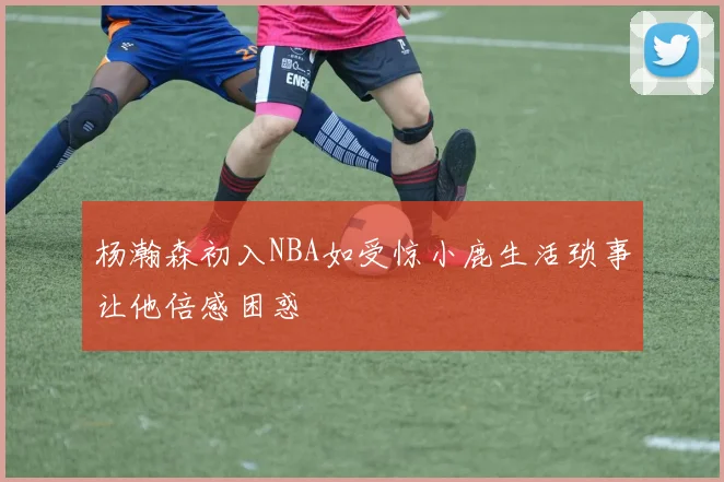 杨瀚森初入NBA如受惊小鹿生活琐事让他倍感困惑